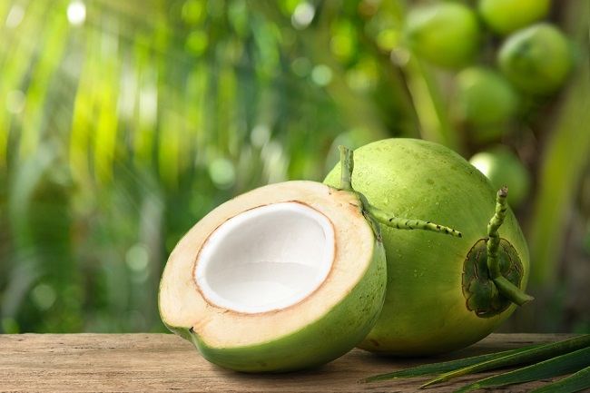 Dari Santan hingga Minyak Kelapa: Beragam Produk Kelapa dan Manfaatnya