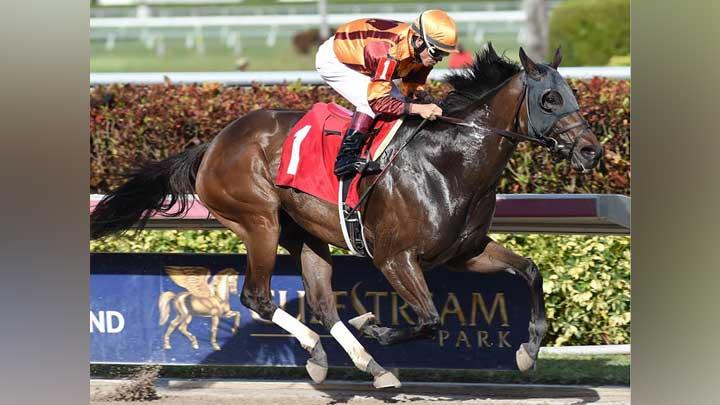 Kuda Thoroughbred: Pelari Cepat di Lintasan Balap