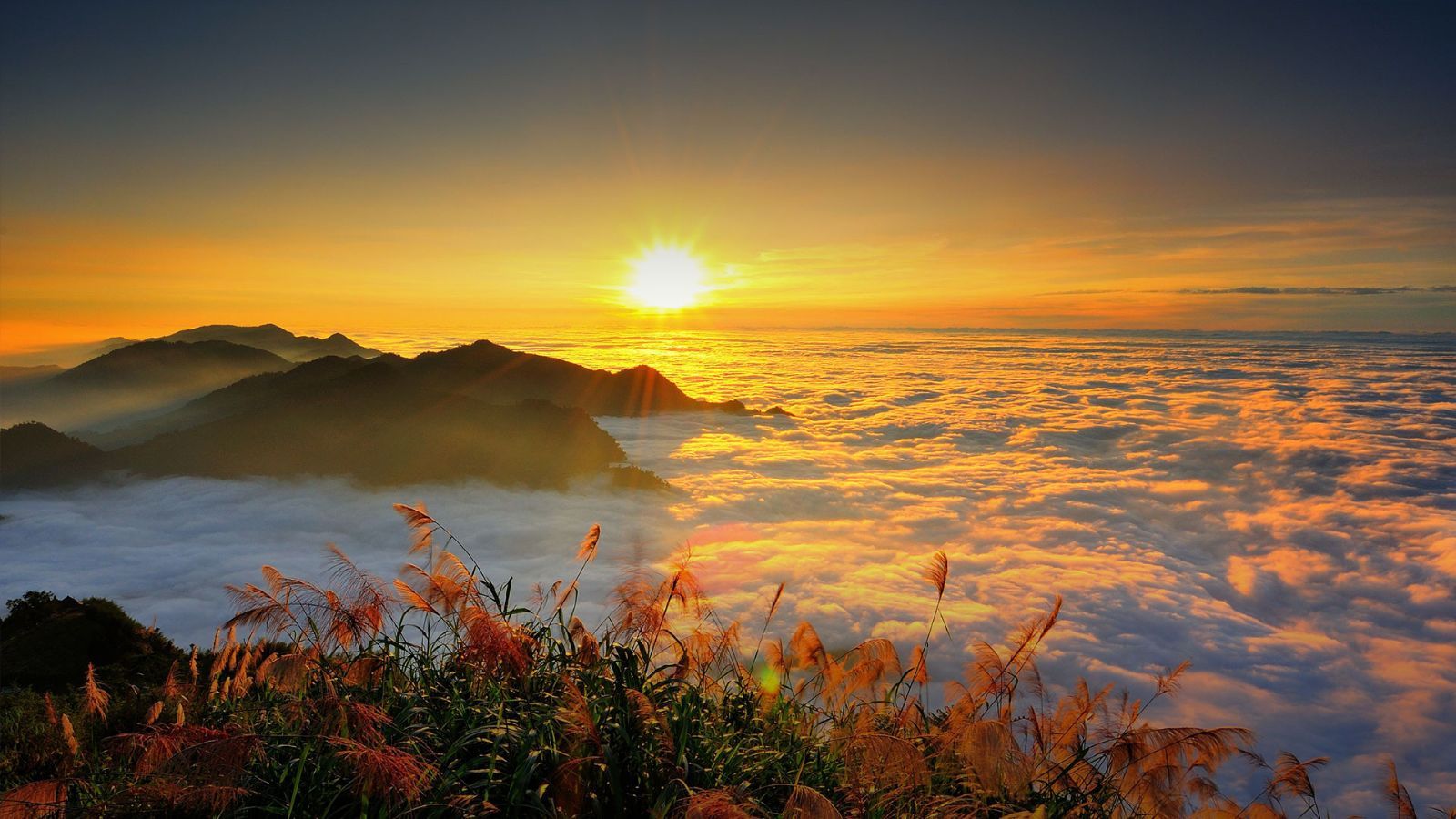 menelusuri-keajaiban-taiwan-dari-pegunungan-alishan-hingga-pasar-malam-taipeix